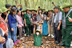 见证着古芝军民立下显赫战功的古芝地道目前成为了胡志明市著名的历史旅游景点。